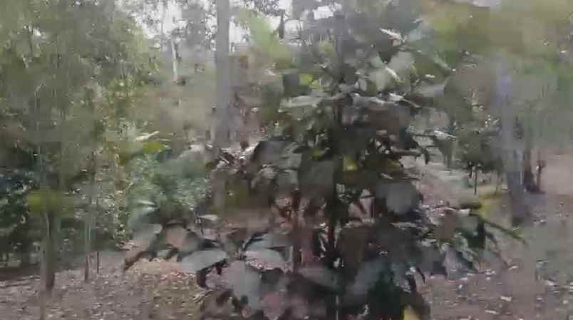 dijual tanah perkebunan produkif lokasi strategis