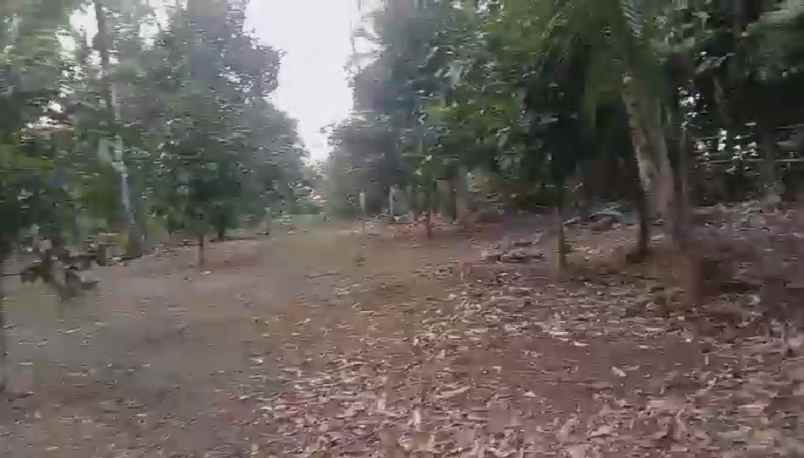 dijual tanah perkebunan produkif lokasi strategis