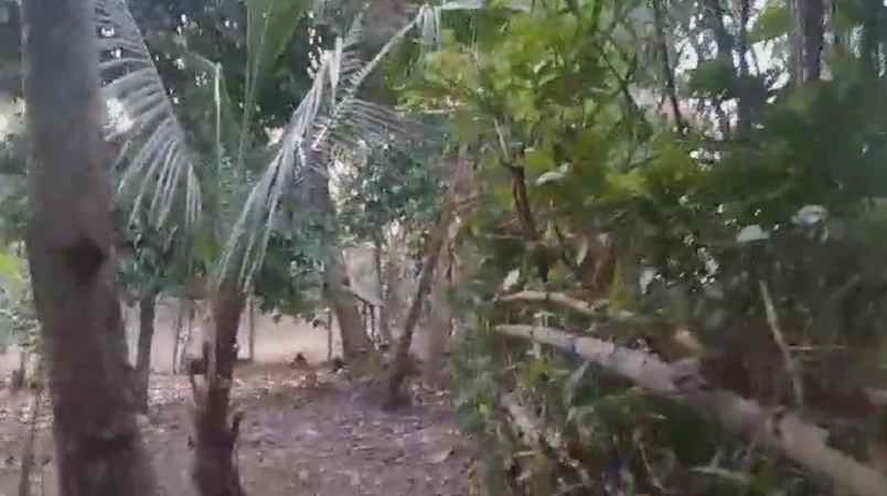 dijual tanah perkebunan produkif lokasi strategis