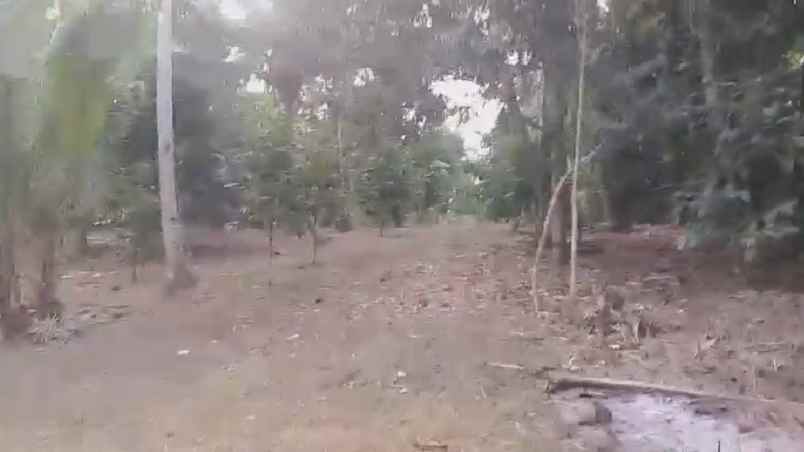 dijual tanah perkebunan produkif lokasi strategis