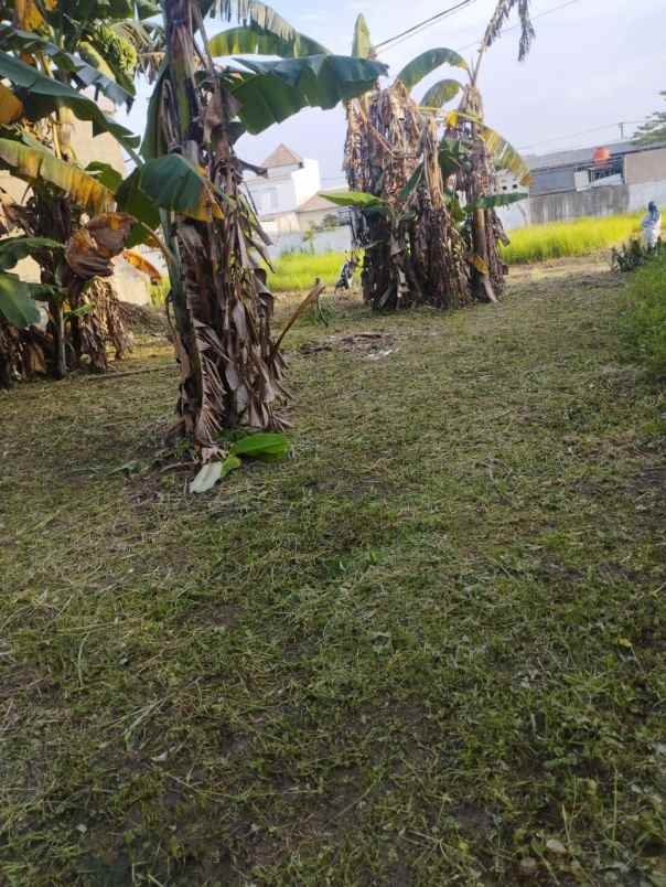 dijual tanah perumahan peruri teluk jambe