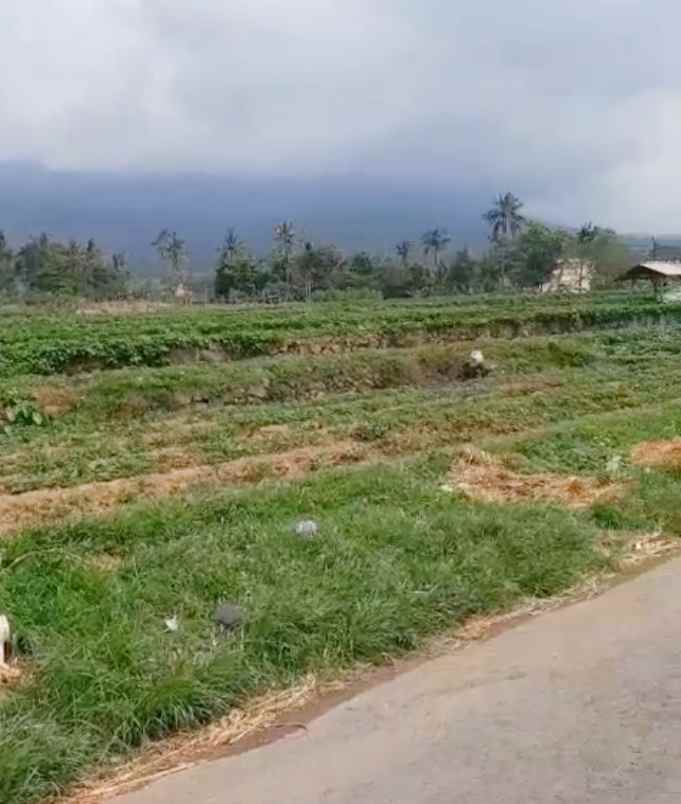 dijual tanah peusing jalaksana kuningan