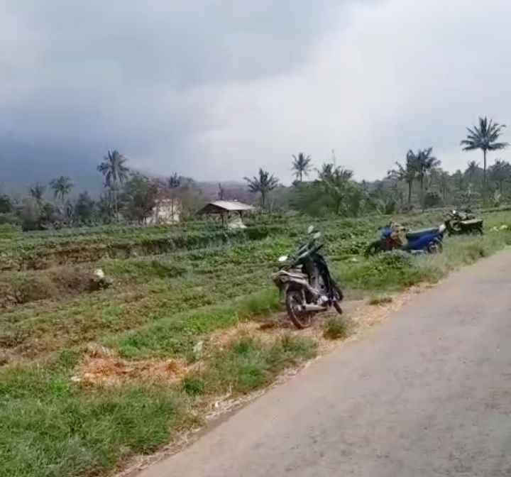 dijual tanah peusing jalaksana kuningan