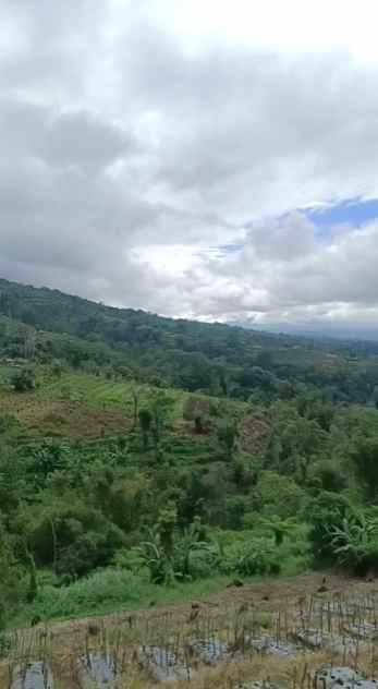 dijual tanah pinggir jalan raya baturiti