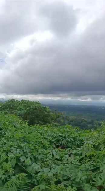 dijual tanah pinggir jalan raya baturiti