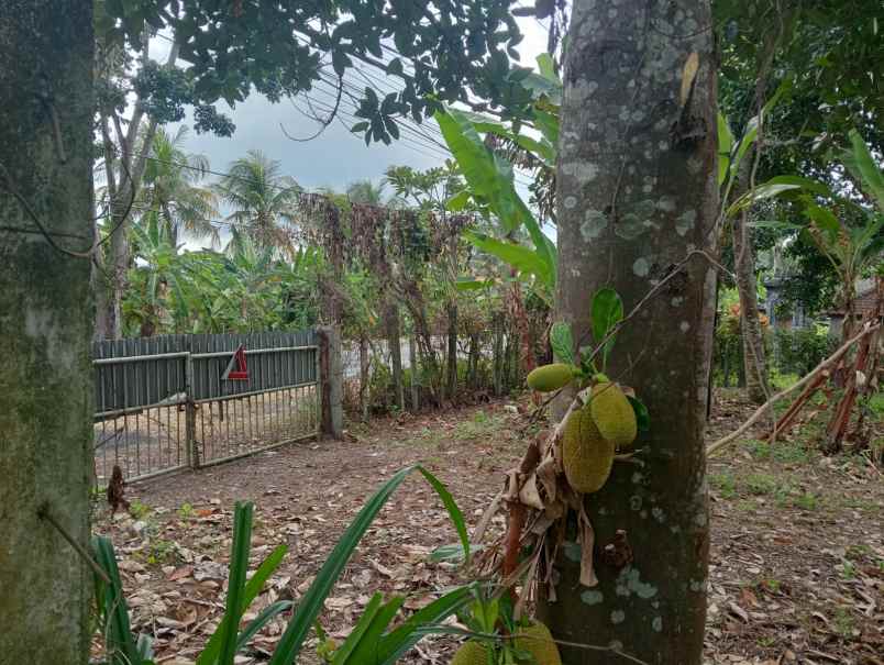 dijual tanah premium dengan lokasi yang strategis