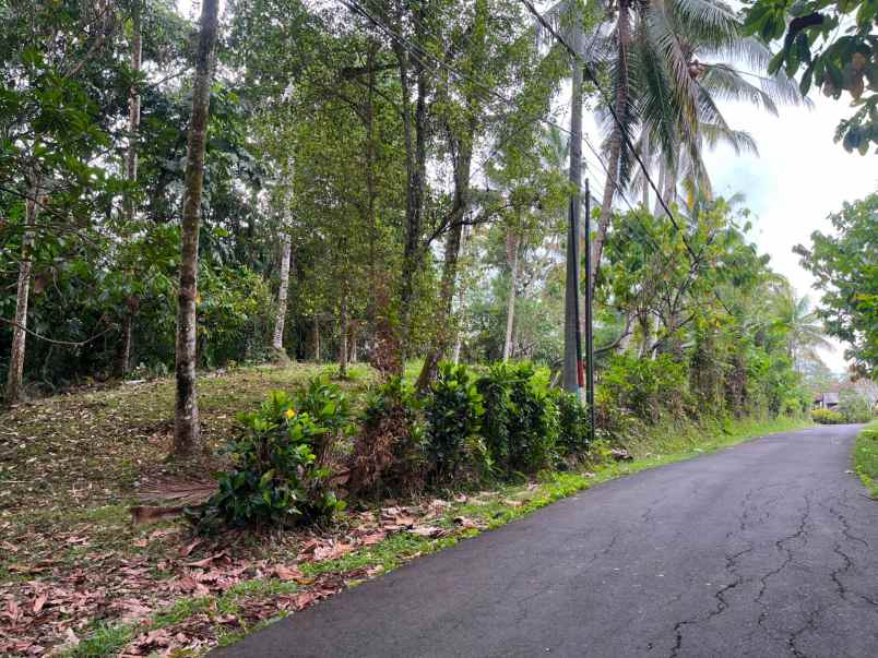 dijual tanah premium dengan lokasi yang strategis