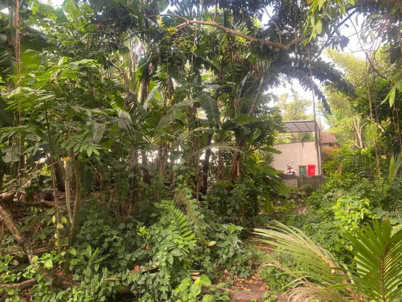 dijual tanah premium siap bangun lokasi di pererenan
