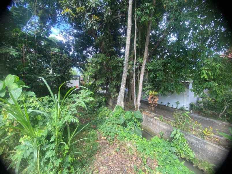 dijual tanah premium siap bangun lokasi di pererenan
