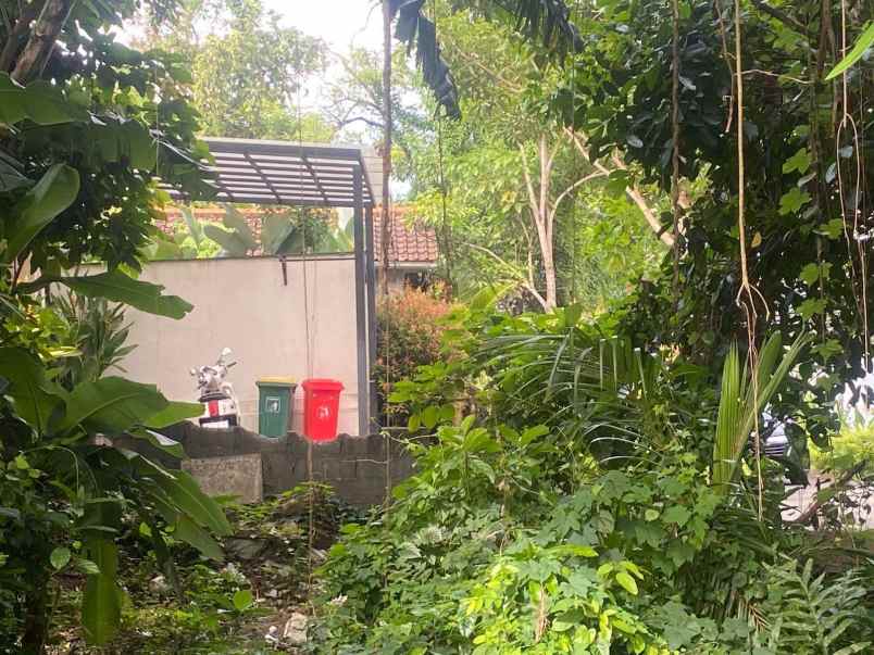 dijual tanah premium siap bangun lokasi di pererenan