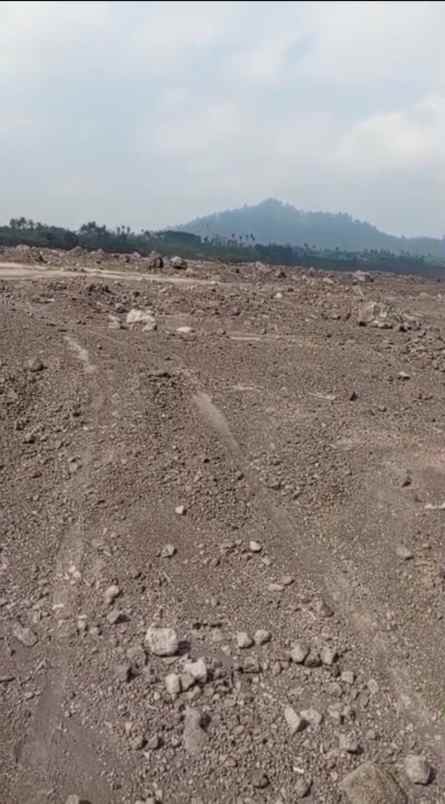 dijual tanah pronojiwo lumajang jawa timur