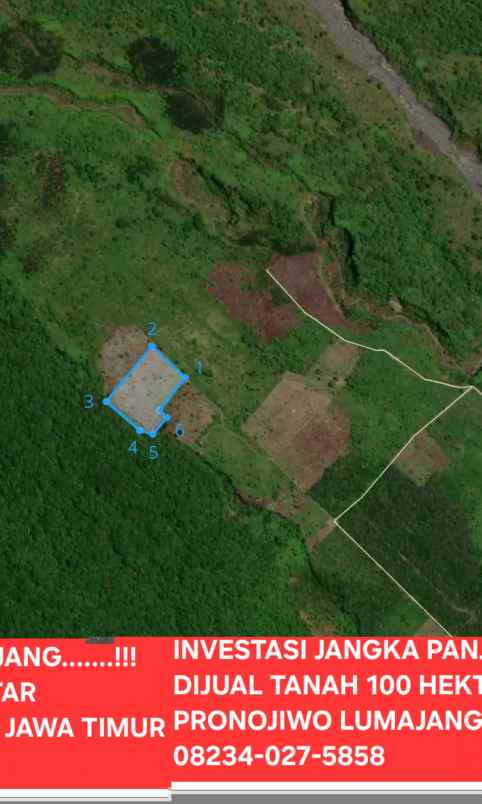 dijual tanah pronojiwo lumajang jawa timur