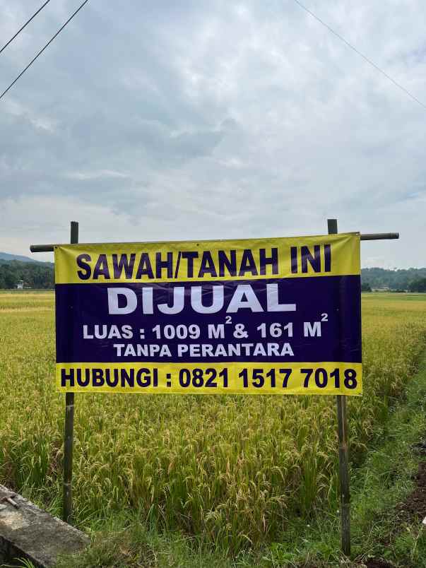 dijual tanah purwodadi