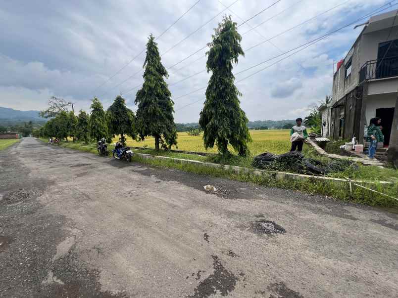 dijual tanah purwodadi