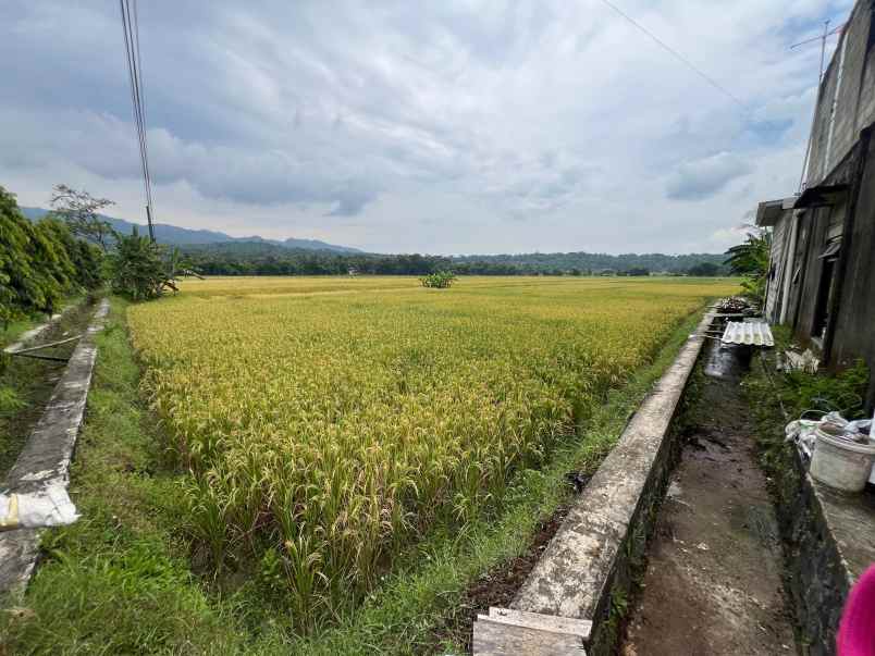 dijual tanah purwodadi