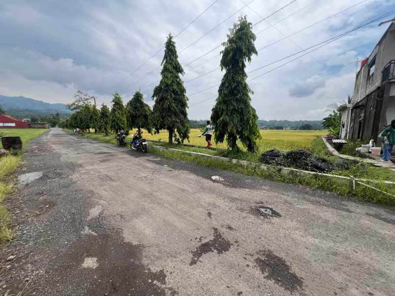 dijual tanah purwodadi