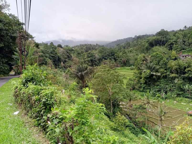 dijual tanah sanda pupuan tabanan