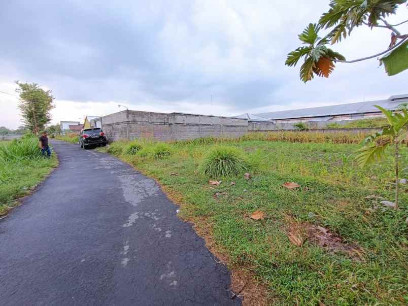 dijual tanah sardonoharjo kabupaten