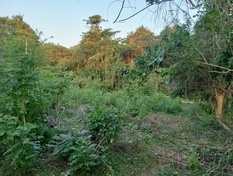 dijual tanah soan galuh beach