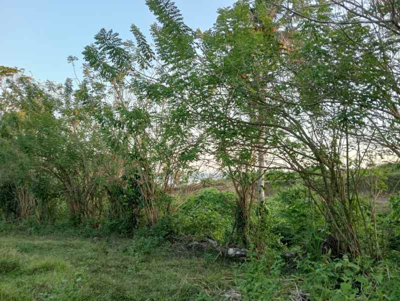 dijual tanah soan galuh beach