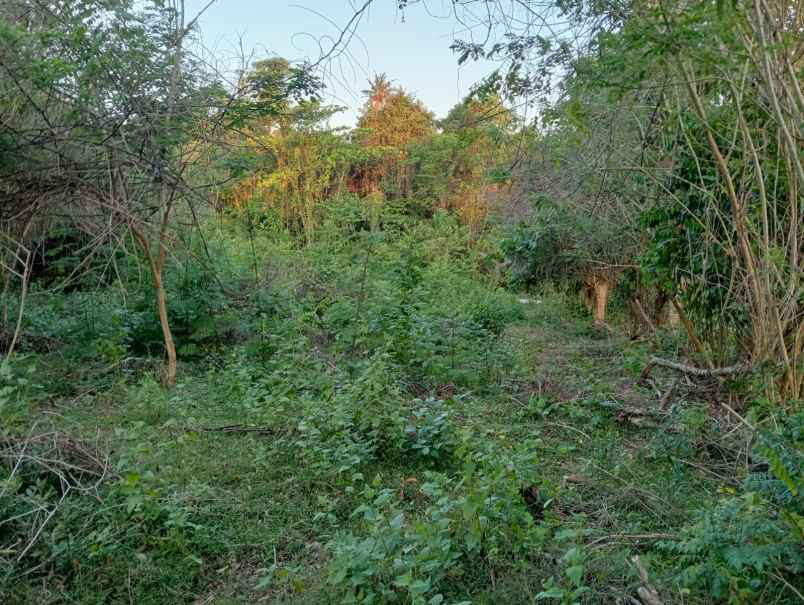 dijual tanah soan galuh beach