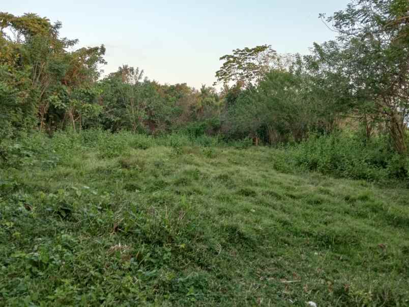dijual tanah soan galuh beach
