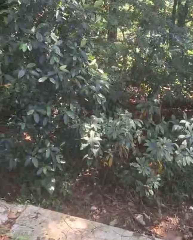 dijual tanah strategis pinggir jalan raya propinsi