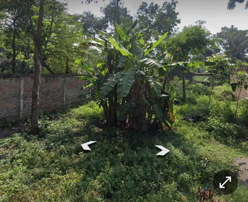 dijual tanah tambakan jogonalan klaten