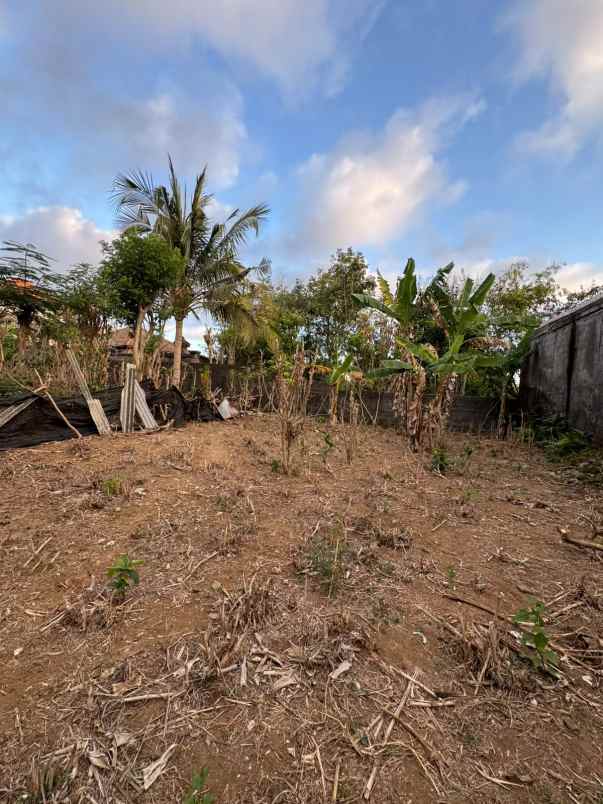dijual tanah toyaning ungasan bali