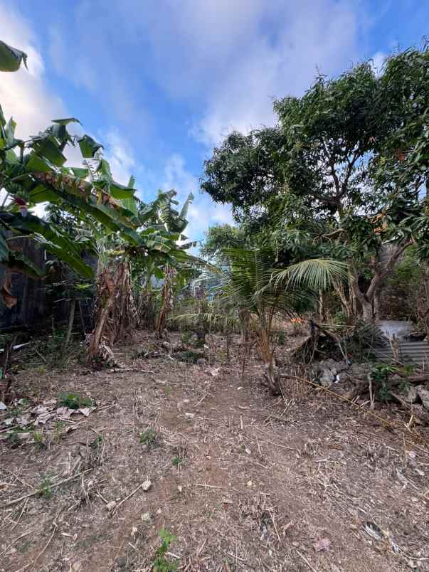 dijual tanah toyaning ungasan bali