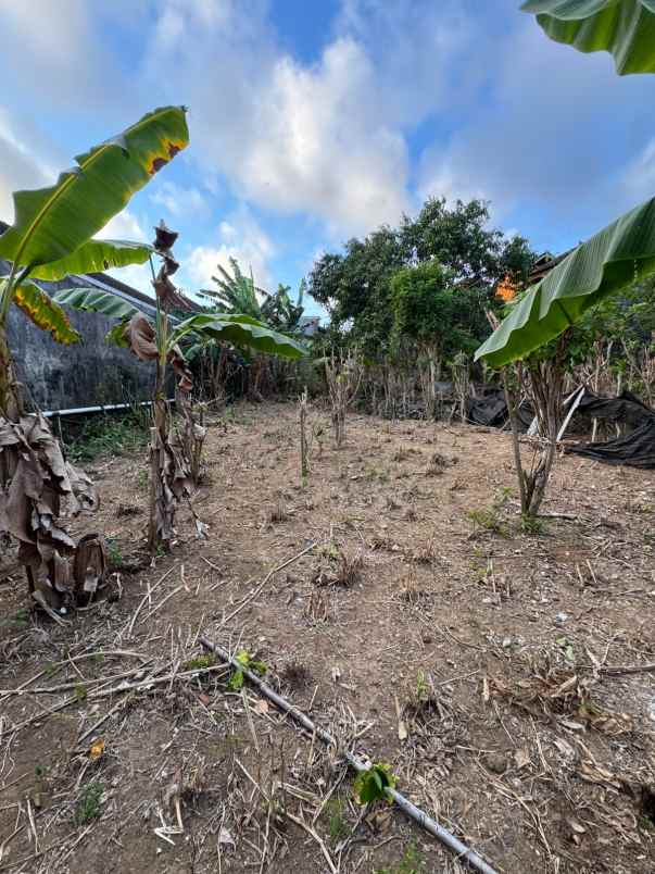 dijual tanah toyaning ungasan bali