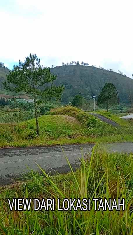 dijual tanah view danau toba