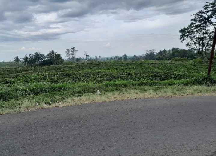 dijual tanah view gunung