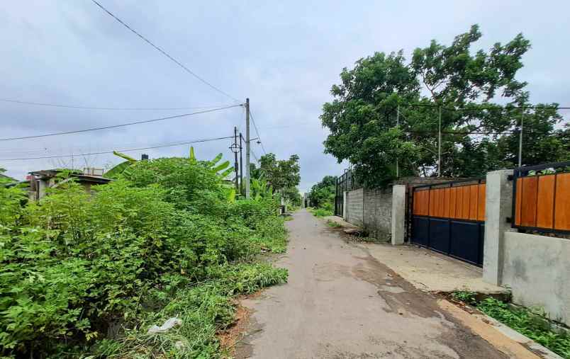 dijual tanah wiyoro