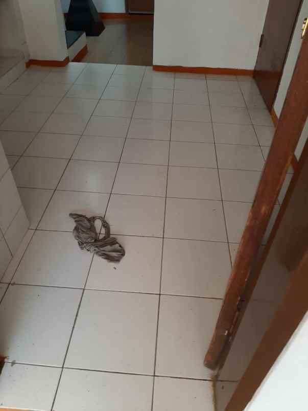 disewakan rumah 2 lt baru renovasi kelapa gading