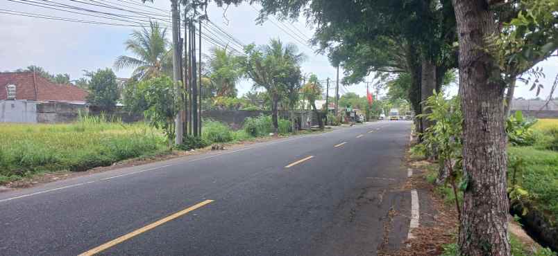 Disewakan Tanah 3280 M2 Jalan Denpasar-bedugul Mengwi Bali