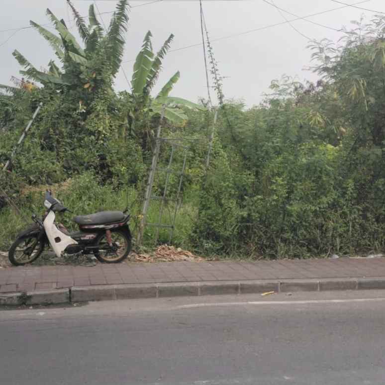 disewakan tanah pantai batu bolong