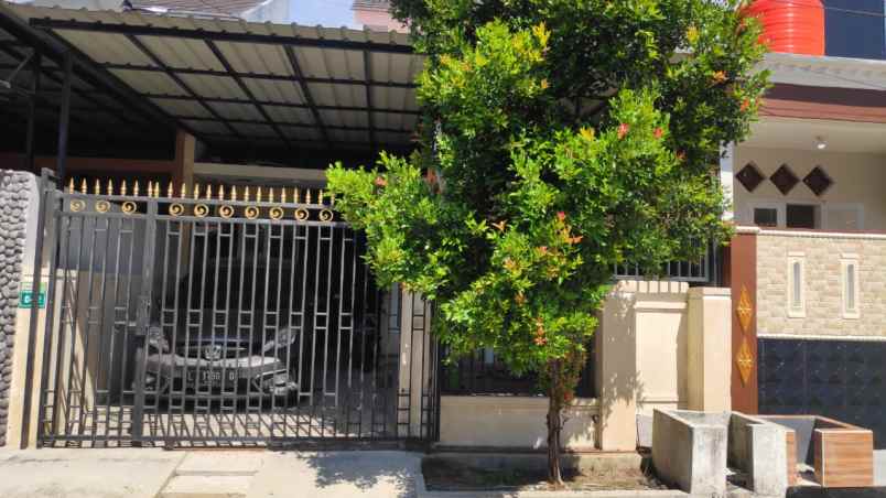 green semanggi mangrove siap huni full kanopi