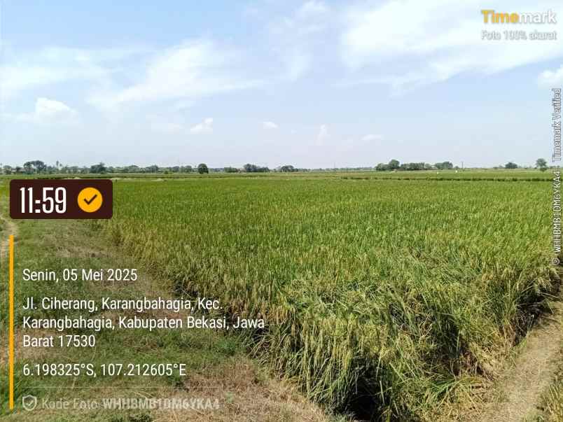 jual cepat tanah 15 hektar bekasi terbaik