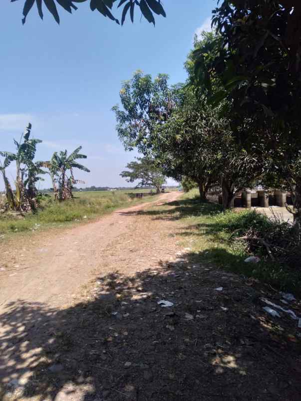 jual cepat tanah 15 hektar bekasi terbaik