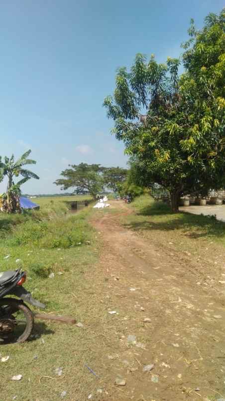 jual cepat tanah 15 hektar bekasi terbaik