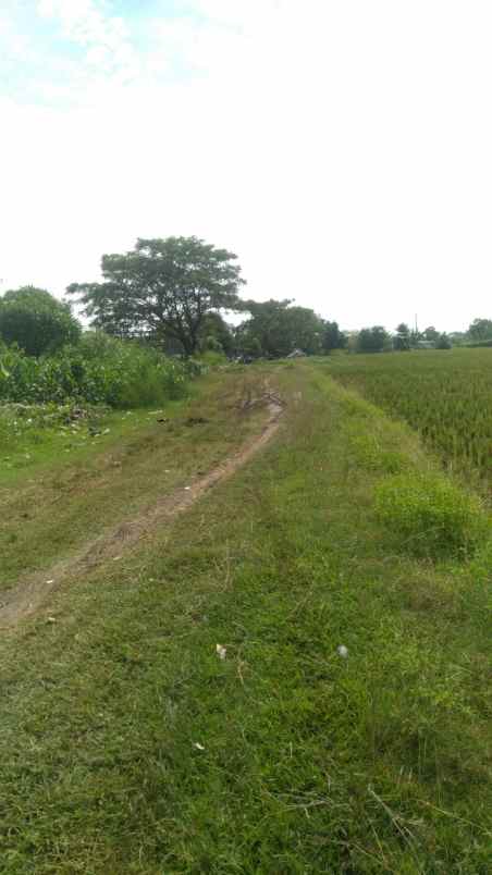 jual cepat tanah 15 hektar bekasi terbaik