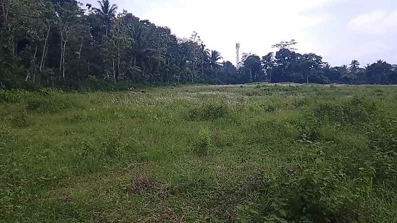 jual lahan prospektif zona kuning perkotaan
