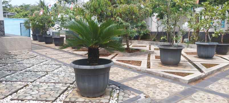 jual rumah bergaya klasik