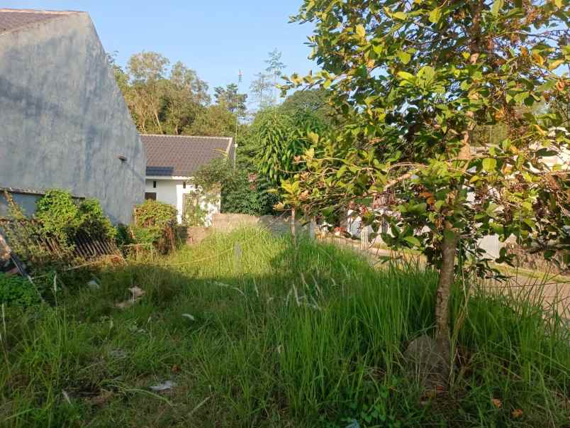jual tanah di griya waringin indah gwi