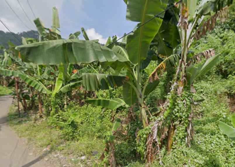 jual tanah di link kembang kuning suralaya pulomerak