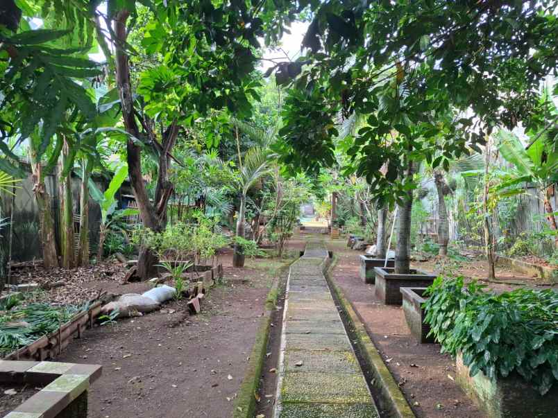 jual tanah lokasi pasar rebo jakarta timur