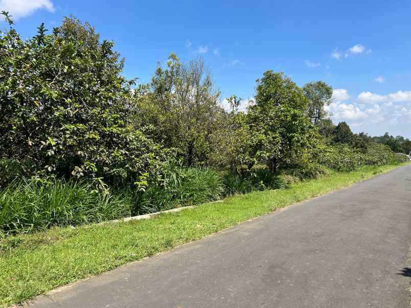 kebun jambu 1100m cocok buat wisata ngargoyoso