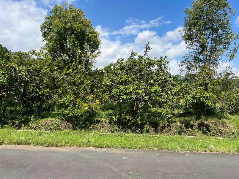 kebun jambu 1100m cocok buat wisata ngargoyoso