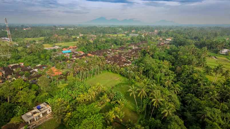 kesempatan langka di ubud